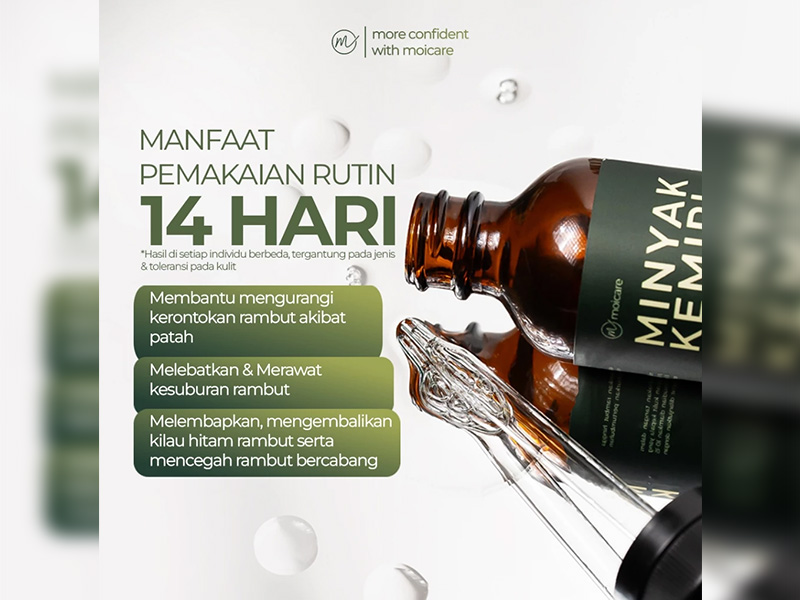 Moicare Minyak Kemiri Extract Ginseng 100%