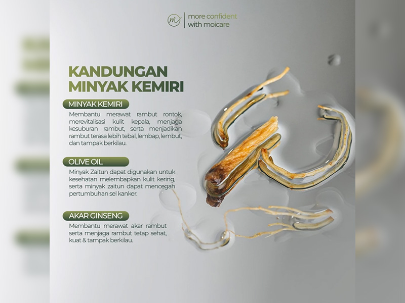 Moicare Minyak Kemiri Extract Ginseng 100%